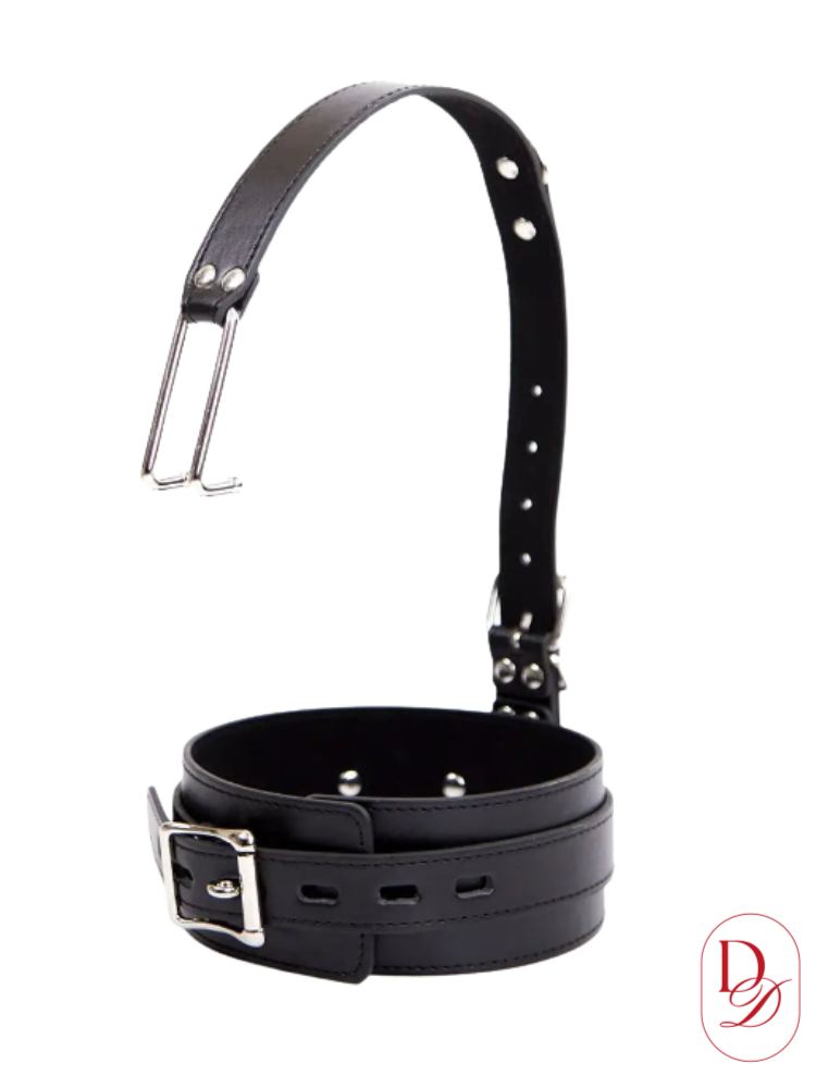 collier bdsm