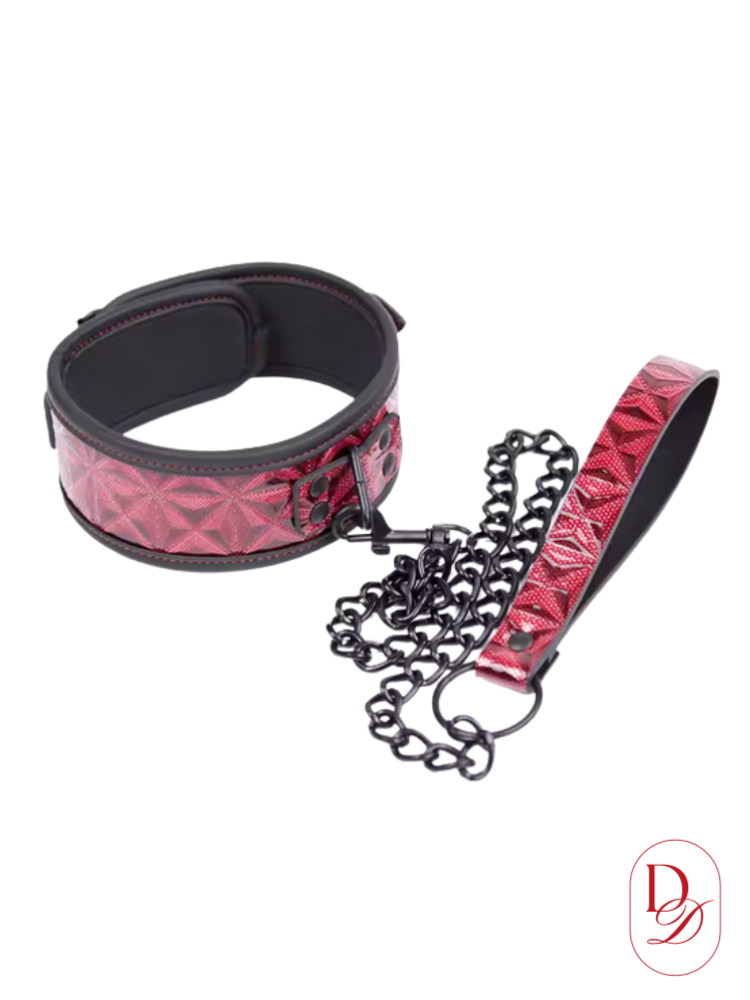 Collier BDSM<br> Laisse