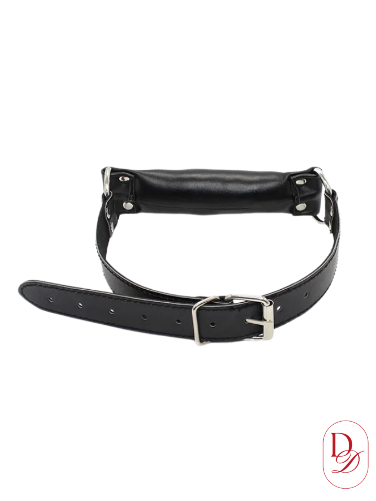 baillon bdsm mors