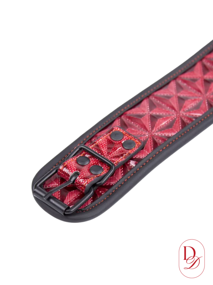 Collier BDSM<br> Laisse
