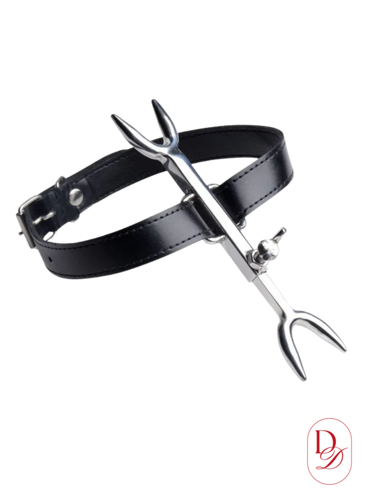 collier bdsm