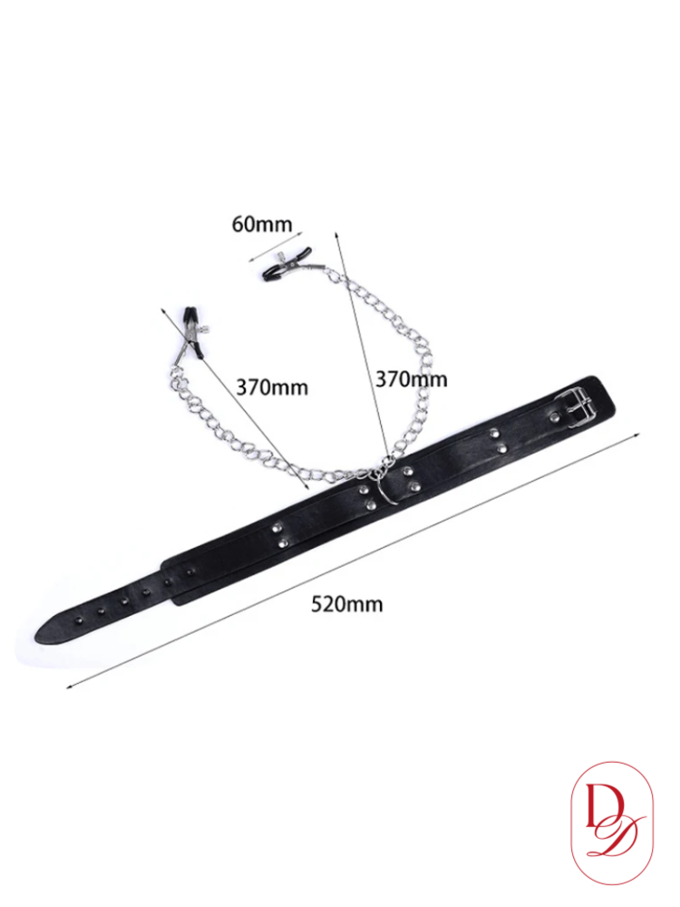 Collier BDSM<br> Pinces tétons