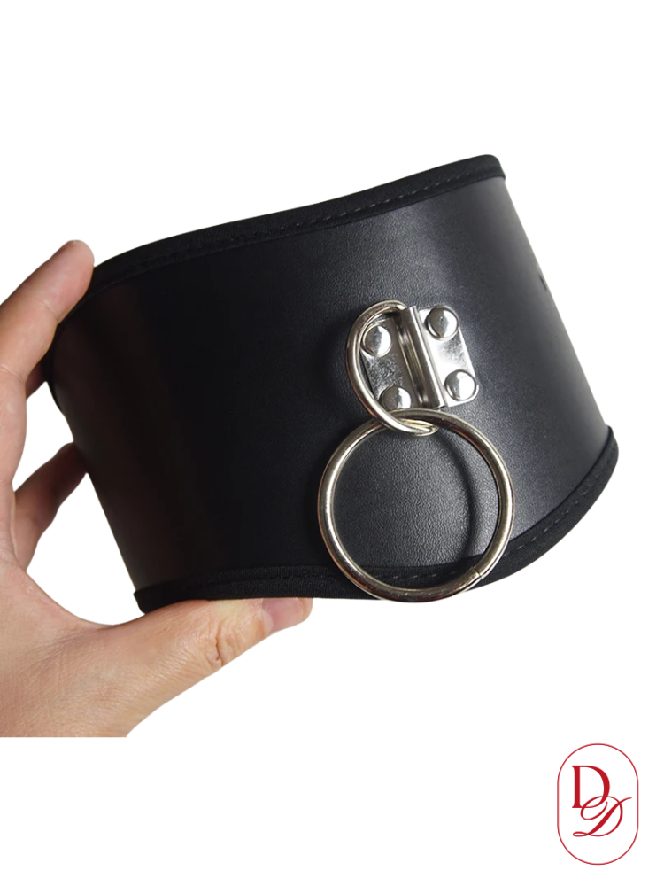 collier bdsm large